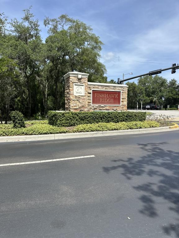 Foto del edificio - 15752 Fishhawk Falls Dr