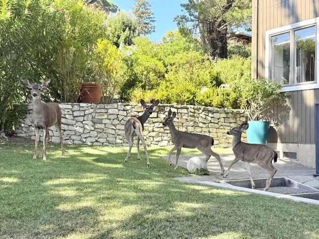 Photo - 201 Cleveland Ct House