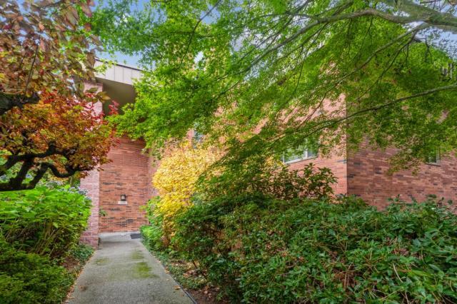 Foto principal - 2 bedroom in Seattle WA 98199
