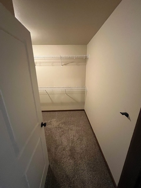 Building Photo - 62 Jaro Wy