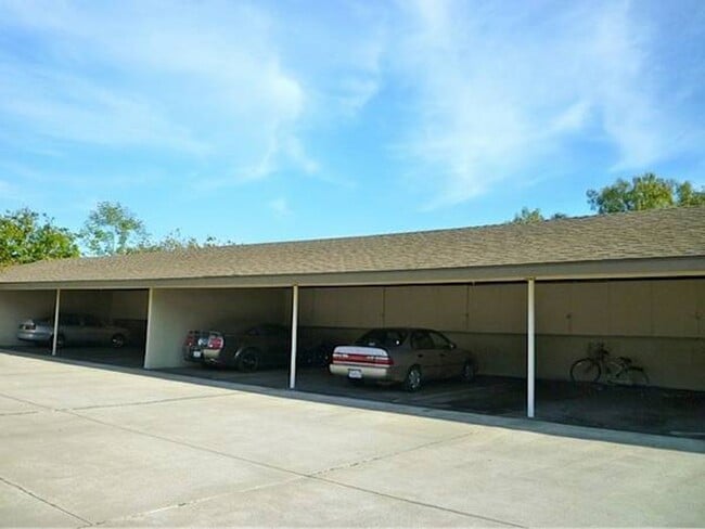 Building Photo - Bright 2 Bedroom Unit with Patio