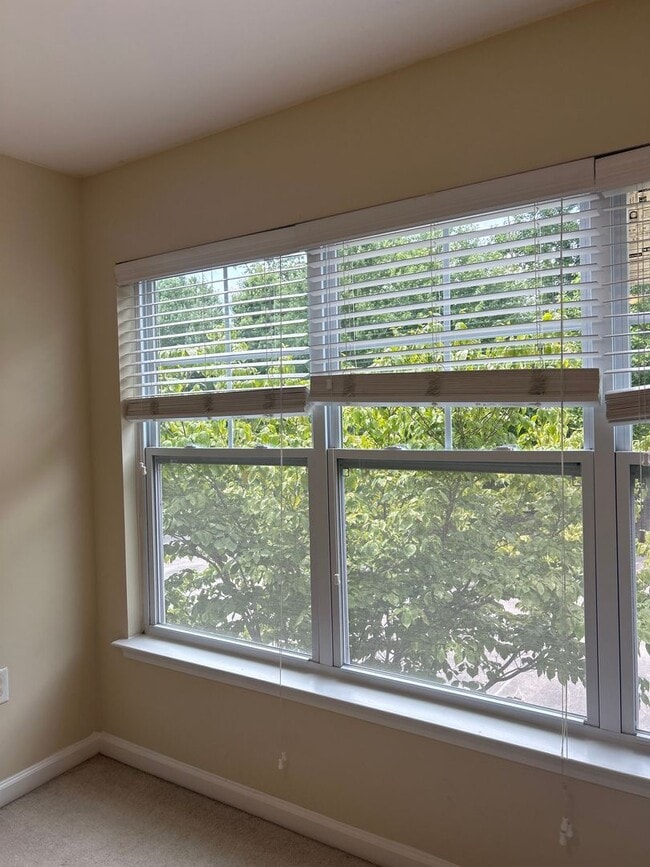 Foto del edificio - 05-203 Doddi