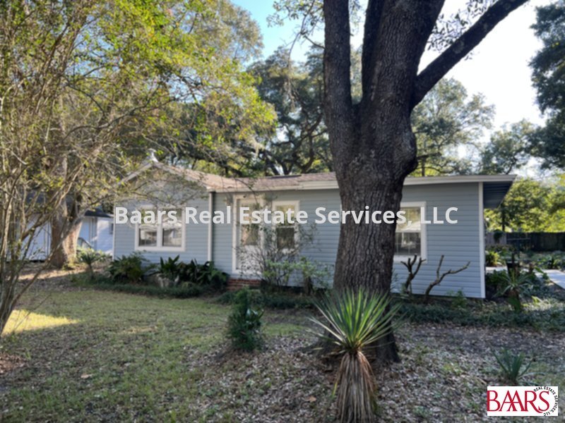 Primary Photo - Cottage on large lot