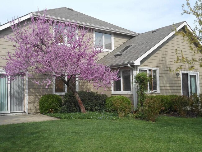 Building Photo - 4231 Timberline Ct