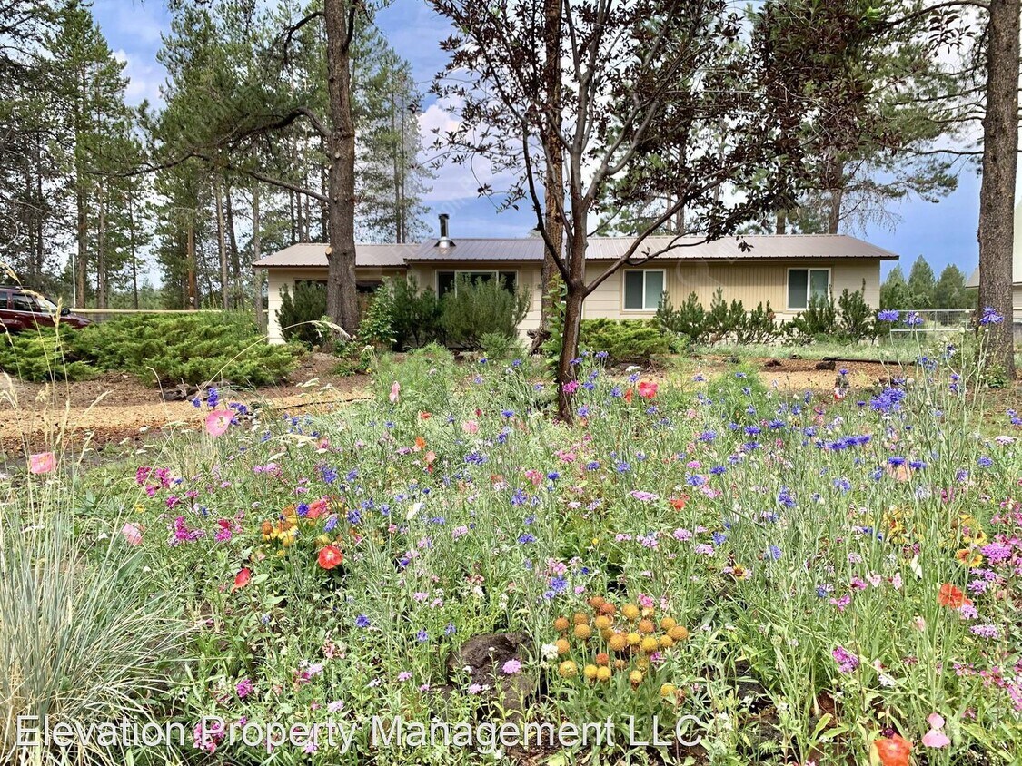Foto principal - 3 br, 2 bath House - 55565 Big River Dr