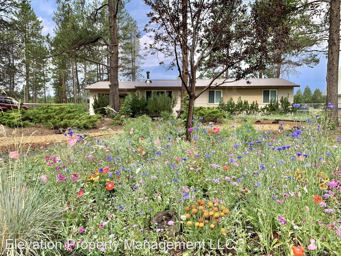 Primary Photo - 3 br, 2 bath House - 55565 Big River Dr