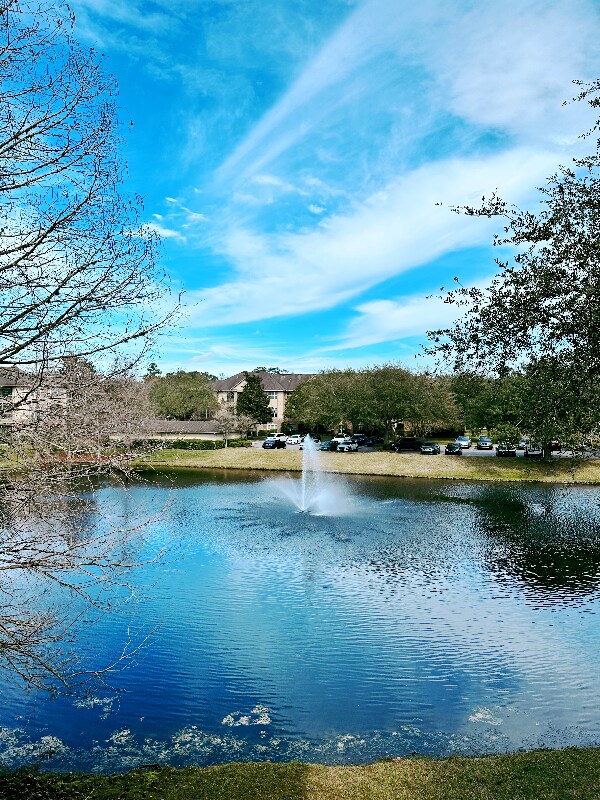 Building Photo - 7800 Point Meadows Dr