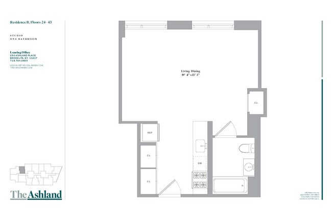 250 Ashland Place Apartments - Brooklyn, NY 250 Ashland Place Apartments - Brooklyn, NY