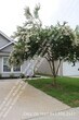 Foto principal - 4957 Trump St