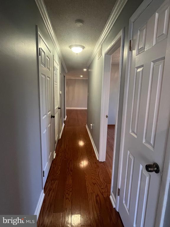 Foto del edificio - 4418A Aberdeen Dr