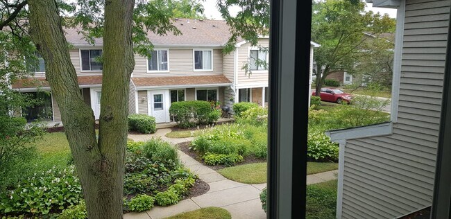 Courtyard - 470 Stevenson Pl
