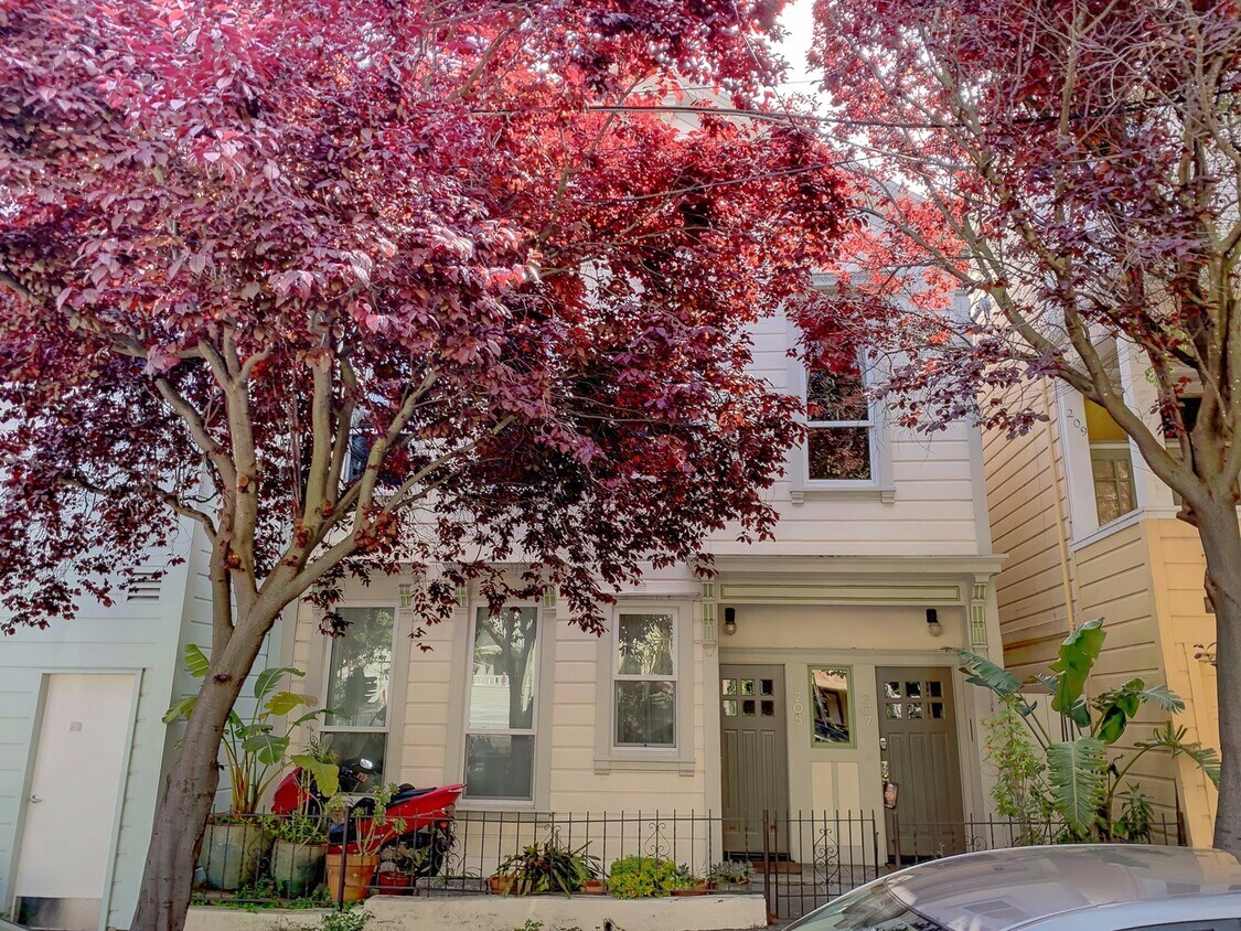 Primary Photo - Sunny, Spacious, and Updated 4 Bed, 2 Bath...