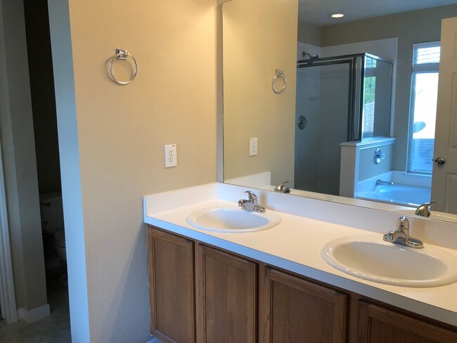 Master bathroom - 17359 Turquoise Stream Dr