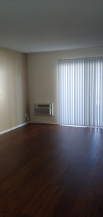 Pinewood Apartments photo'