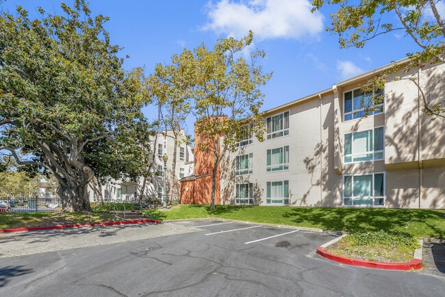 Building Photo - Oak Village