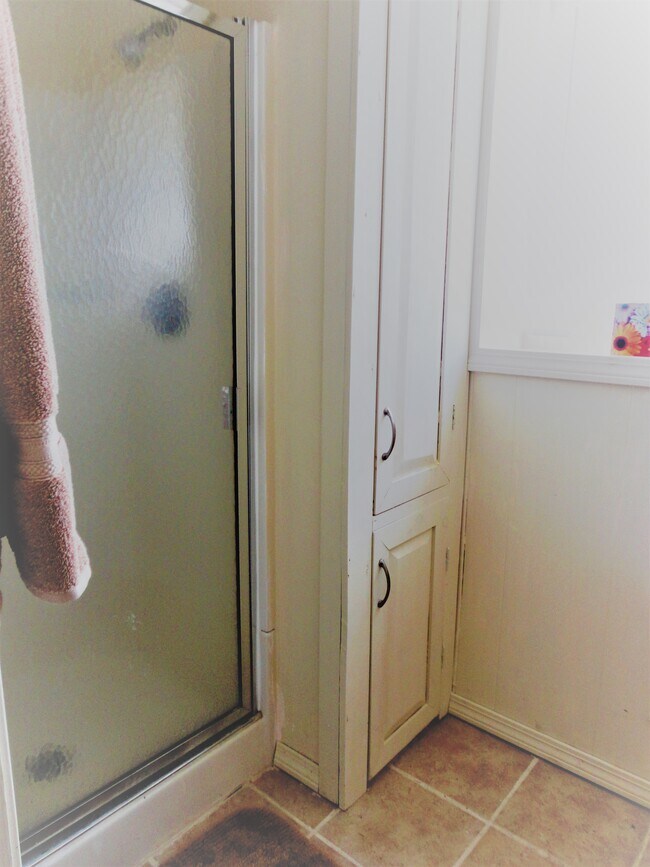 Baño del primer piso - ducha a ras de suelo - 3 Dubois Dr