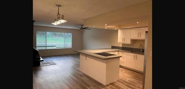 Building Photo - 7525 Jerez Ct
