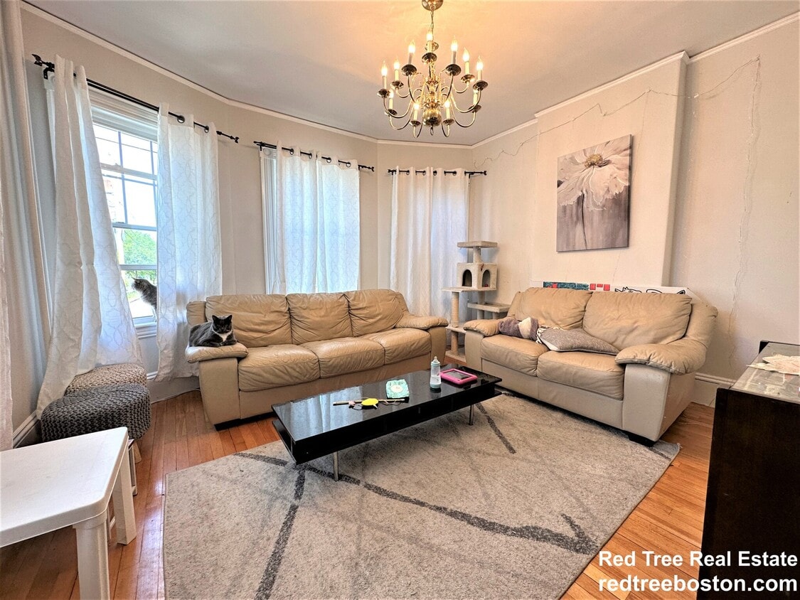 24 Middle St Unit 1, Newton, MA 02458 Condo for Rent in Newton, MA