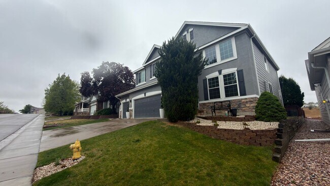 Foto del edificio - Great Furnished House In Fort Collins