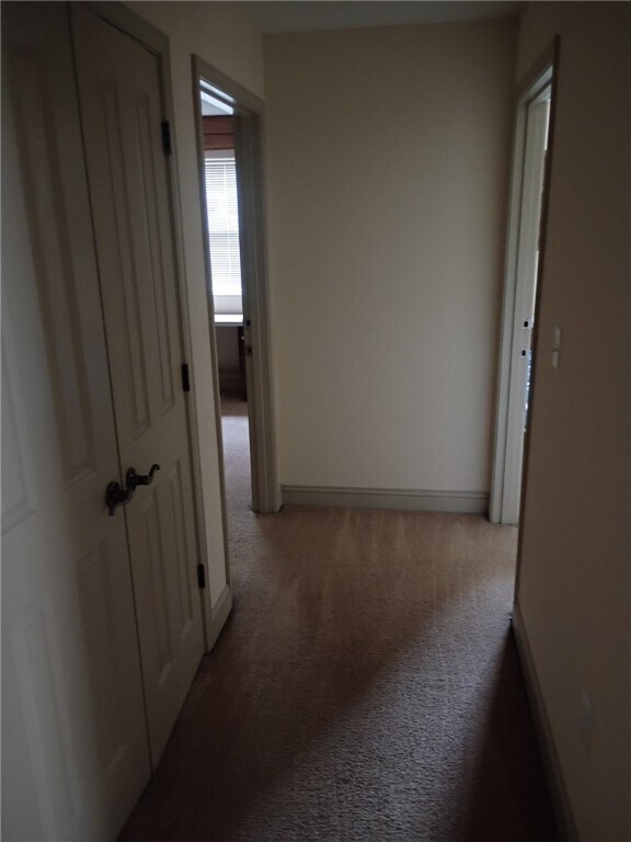 Foto del edificio - 203 Kelly Rd