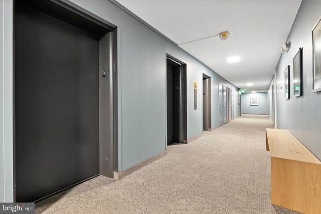 Floor - 1101 Saint Paul St