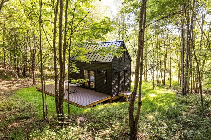 Primary Photo - Stylish Tiny Cabin in Peaceful Wooded Area