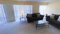 This single-floor space features a welcoming living room as its central gathering area. The room is finished with wall-to-wall carpeting in a neutral tone, lending a soft, comfortable feel underfoot. Large vertical blind-covered windows line the wall, allowing ample natural light to filter in while maintaining privacy. The living room is furnished with a dark upholstered sofa accented by decorative throw pillows, complemented by sleek glass-top side and coffee tables with metal frames. Two table lamps provide warm supplemental lighting throughout the space. The walls are painted in a warm, muted yellow tone, contributing to the room's inviting atmosphere. The overall layout is straightforward and functional, offering a cozy yet practical living environment suited for relaxed everyday use.
