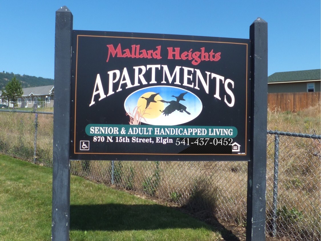 Foto principal - 870 N 15th Ave