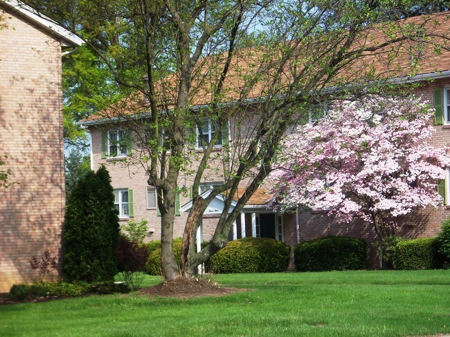 Winfield Apartments - 1116 Bank St