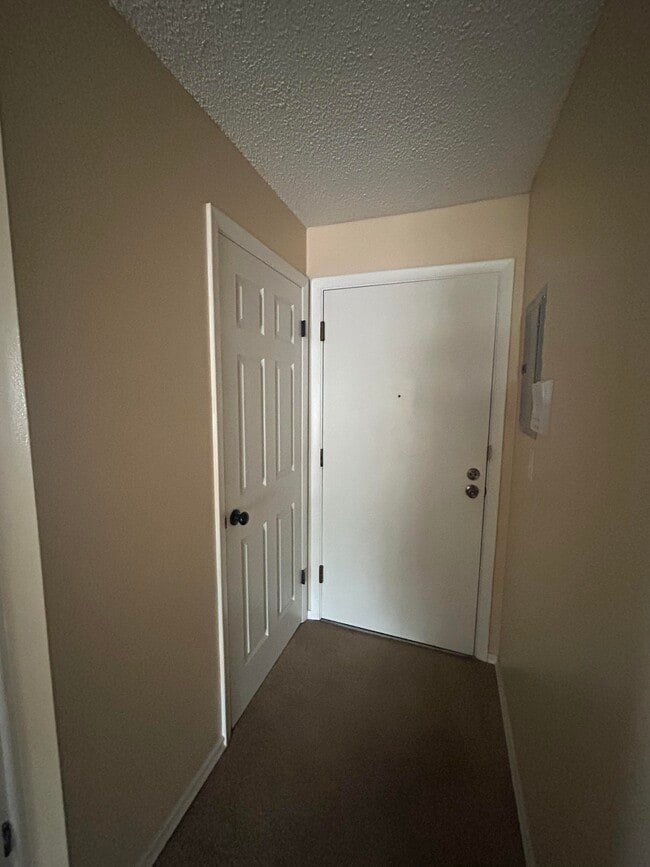 Main door and Coat Closet - 1233 Guelbreth Ln