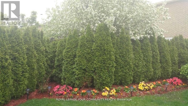 Building Photo - 61 Nightstar Dr