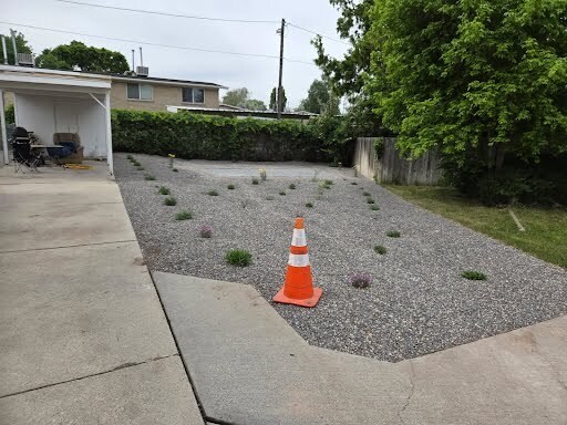 backyard #2 besides the house before the fence was installed - 3224 S Verdant Cir