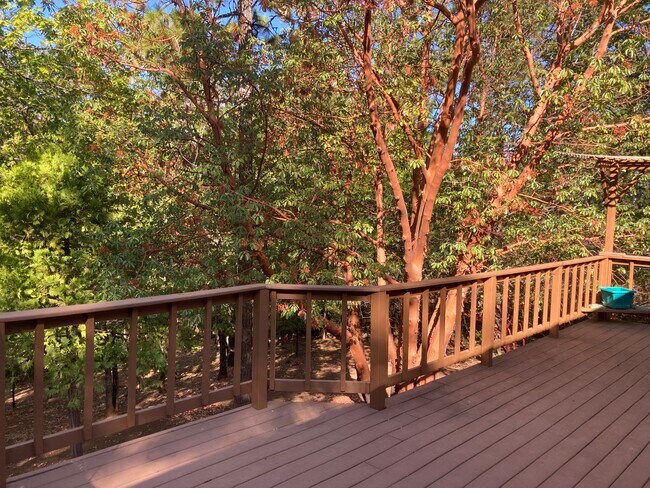 backyard patio - 12961 Burnt Cedar Ln
