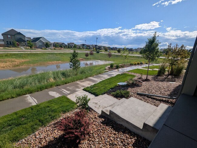 Building Photo - NEARLY NEW HOME FOR RENT IN TIMNATH TRAILSIDE COMMUNITY! READY FOR AUGUST 1st OCCUPANCY!