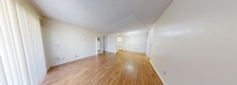 This 740 square foot apartment offers a functional layout with two bedrooms and one bathroom. The open-concept design seamlessly integrates the living room and kitchen, creating a spacious feel. The kitchen is equipped with modern stainless steel appliances, including a refrigerator, stove, and over-the-range microwave. White cabinetry and granite countertops provide ample storage and prep space.

Throughout the apartment, warm-toned hardwood flooring adds a touch of elegance and continuity. Large windows with vertical blinds allow for abundant natural light, enhancing the bright and airy atmosphere. The primary bedroom, measuring 180 square feet, offers a generous space for rest and relaxation.

The bathroom features a combination tub and shower, with a granite-topped vanity for storage. Built-in shelving in the living area provides additional storage options. The apartment's neutral color palette and textured ceilings create a clean, contemporary ambiance suitable for various decorating styles. This single-story unit, located at address 31-F, balances comfort and efficiency in its well-designed space.