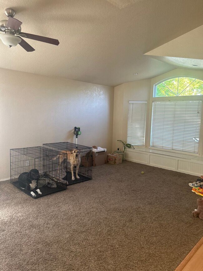 Building Photo - 3 br, 2 bath House - 713 Raven Dr