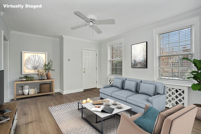 Western light for afternoon happiness - 2335 40th St NW