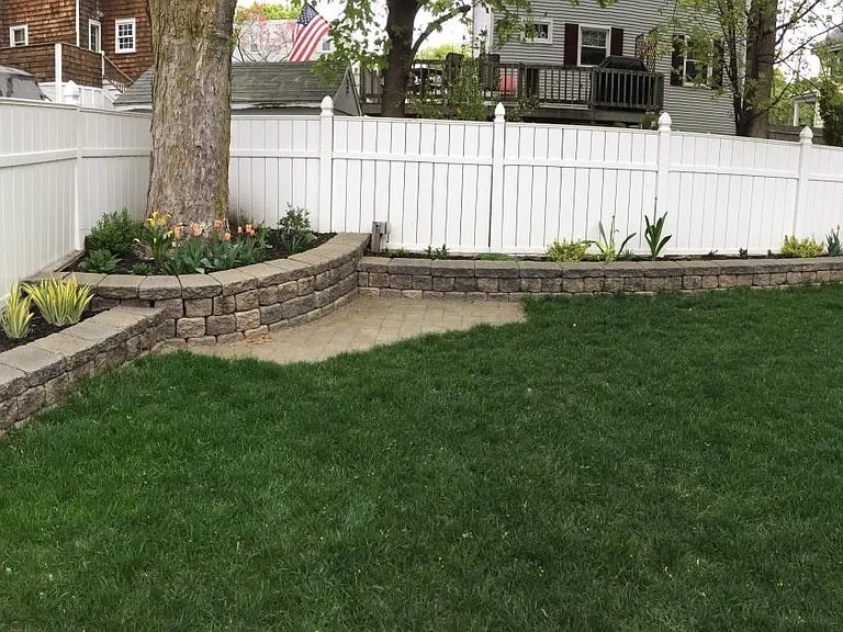 Backyard - 26 Shillaber St