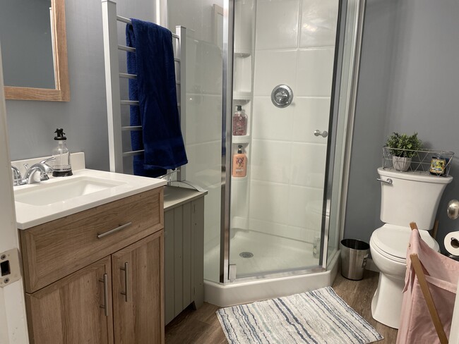Bathroom - 303 Skinner Ln