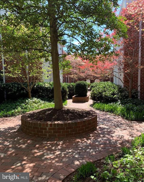 Building Photo - 1040 N Royal St