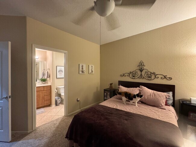 Foto del edificio - 705 W Queen Creek Rd