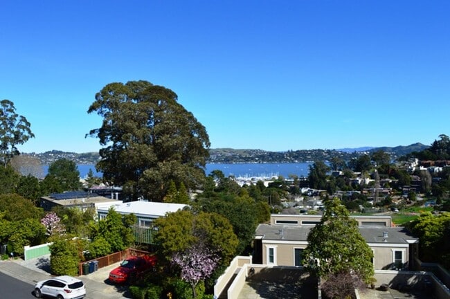 Foto del edificio - Beautifully Updated, 900 Sq Ft Sausalito C...