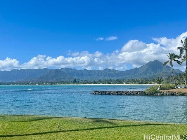 Building Photo - 650 Kaimalino St