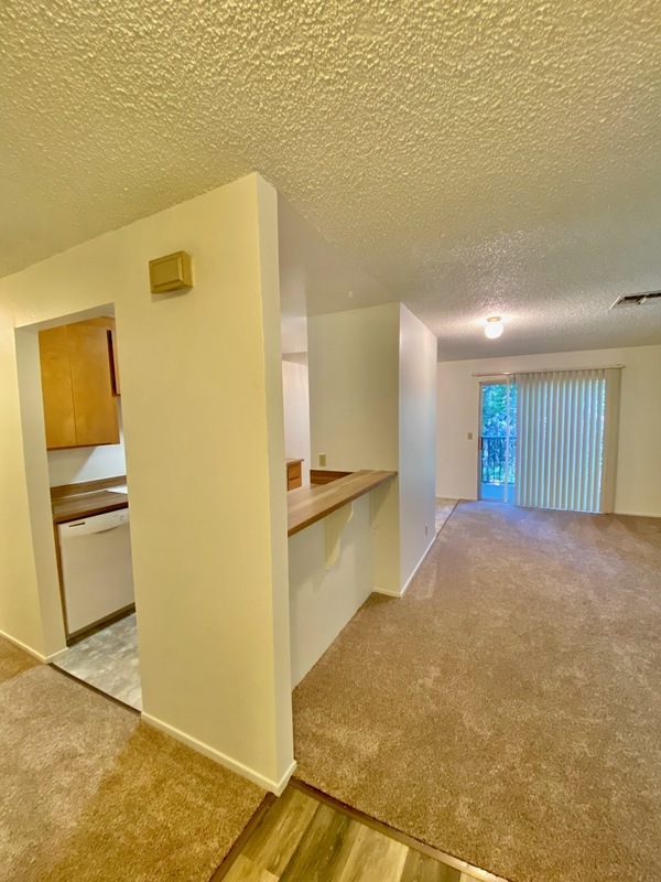 Foto principal - 326 Northstar Pl