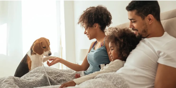 Primary Photo - Berry Pines