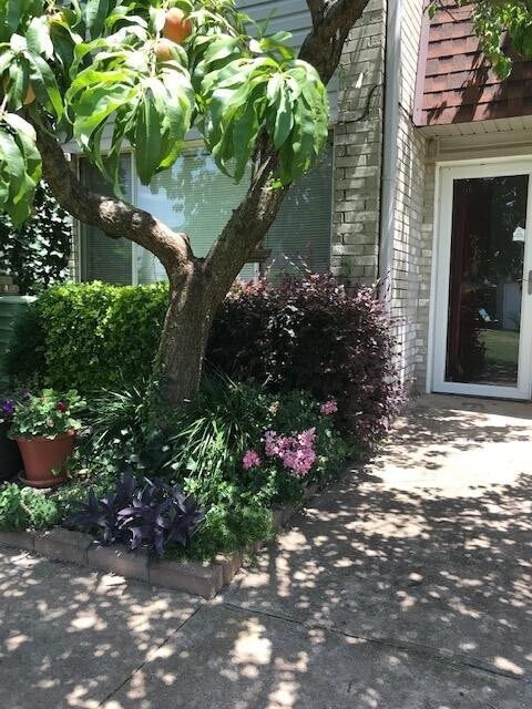 Foto del edificio - 2 bedroom 2bath townhome