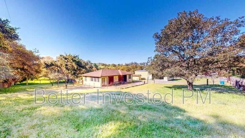 Primary Photo - 239 Live Oak Dr