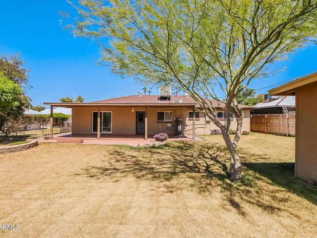 Backyard - 1323 E Carol Ave