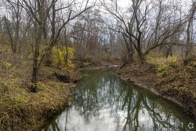 Peruque Creek runs through Dames Park and the surrounding area.