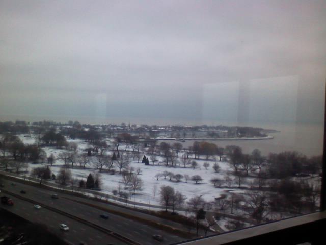 View from living room - 3950 N Lake Shore Dr